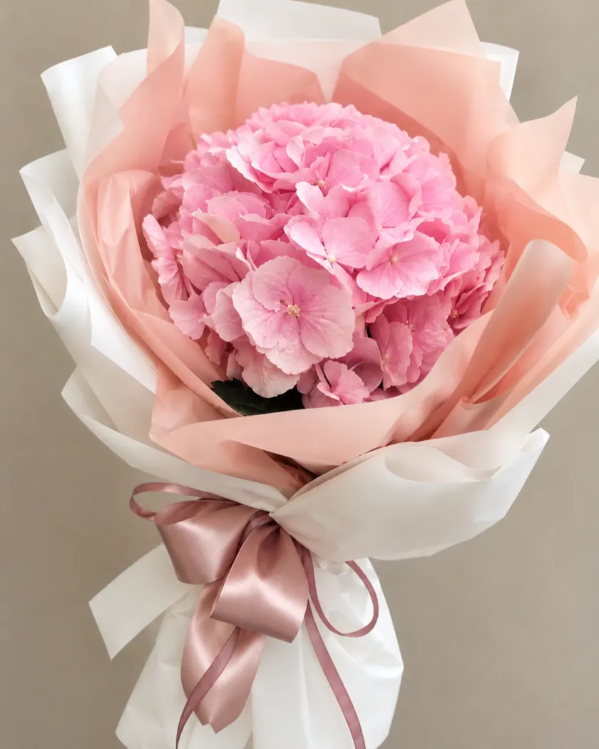 Ramo de hortensia rosada envuelto en papel rosa y blanco